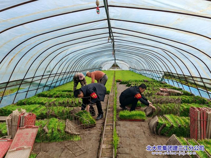 二区照片 (179)(1).jpg