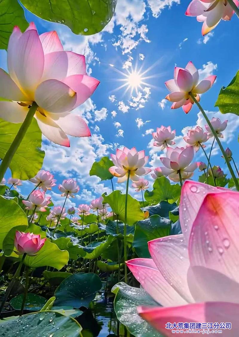 65840afd99ac7e03dca877fc95deda4c.jpg