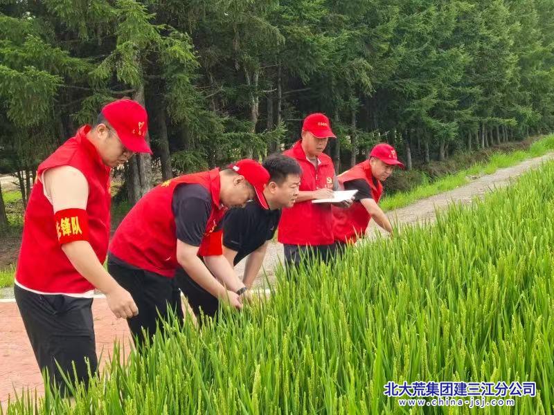 微信图片_20260731144906_506_891.jpg