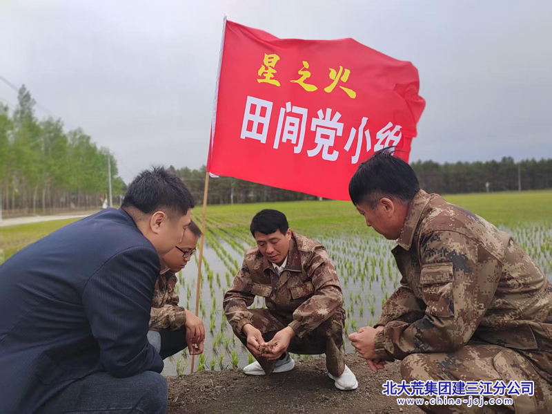 公众号九区_副本.png