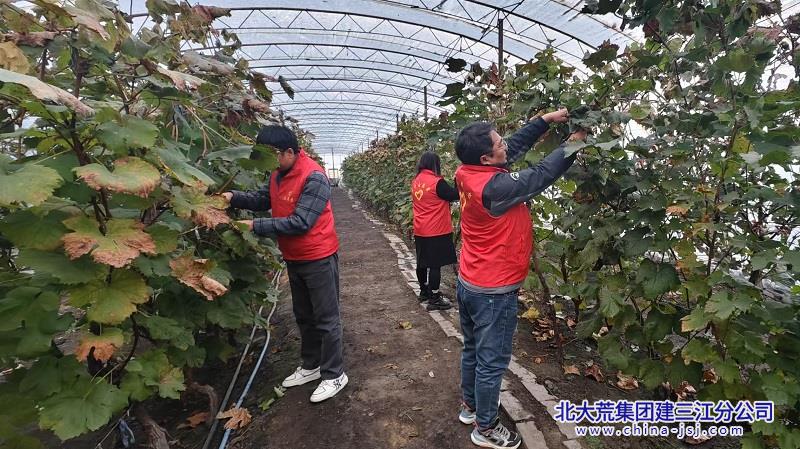 微信图片_20251016160204_81_11.jpg