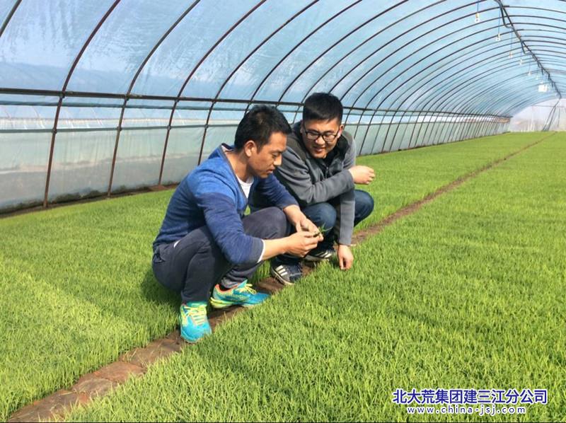 CE8BB1D16077A621451892F1393B221F - 副本.jpg