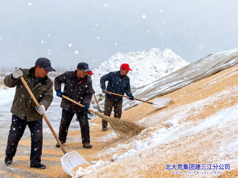 微信截图_20251113083045_副本800.png 微信截图_20251113083045_副本800.png