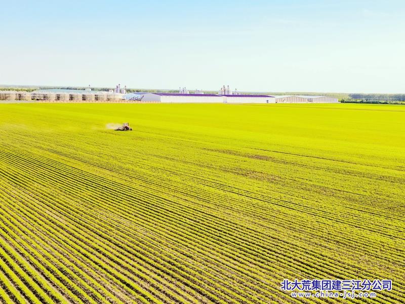 向新求强  勤得利田间夏管科技满满+历建龙、邹宇成+勤得利分公司 (1).jpg