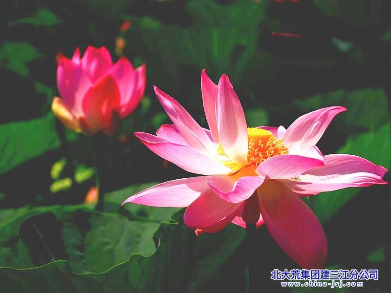 001_副本.jpg