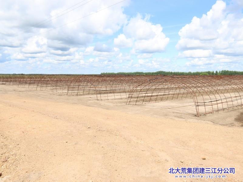 第二管理区：大棚基地(1).jpg