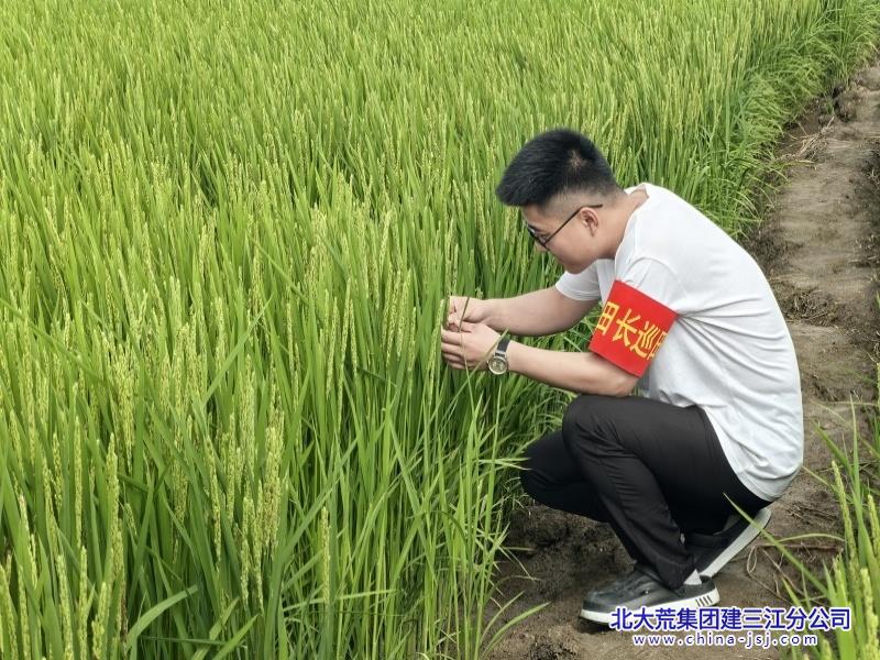 微信图片_20260805141118.jpg