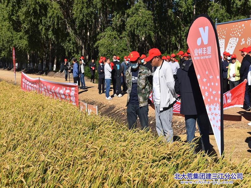 建三江信息港,中国绿色米都,北大荒农垦集团有限公司建三江分公司