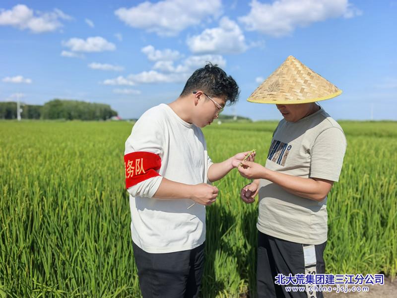 IMG_20260809_140914_副本.jpg
