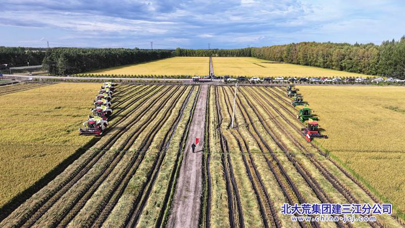 各管理区抢农时 提标准 全面开展水稻割晒作业 摄影 杨国平_副本.jpg