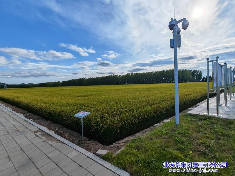 一区科技 (1).jpg