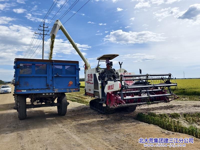 图为胜利农场有限公司第六管理区水稻种植户开展水稻割晒、打道作业。（马兴珠 摄） (1).jpg