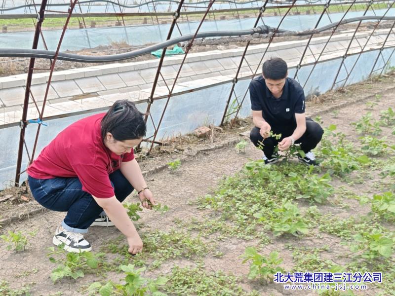 微信图片_20250702083217_副本.jpg