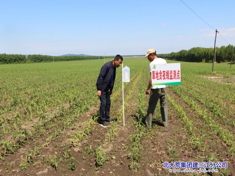 11党小组监测小气候和病虫害(2).jpg