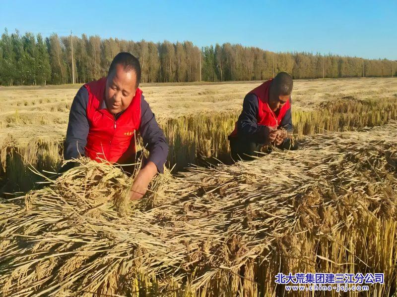 青龙山党员志愿服务助秋收.jpg