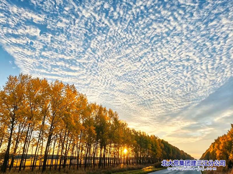 ad816cd51a64dc08fe9470b569094789_副本.jpg