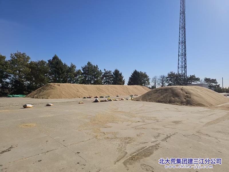 第二管理区日夜守护“黄金毯” 筑牢粮食安全压舱石.jpg
