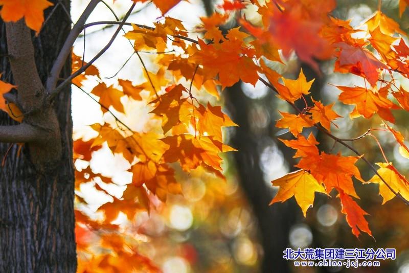 521A5976_副本.jpg
