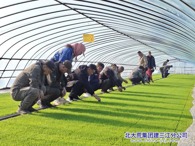 微信图片_20260421064012_170_116_副本.jpg