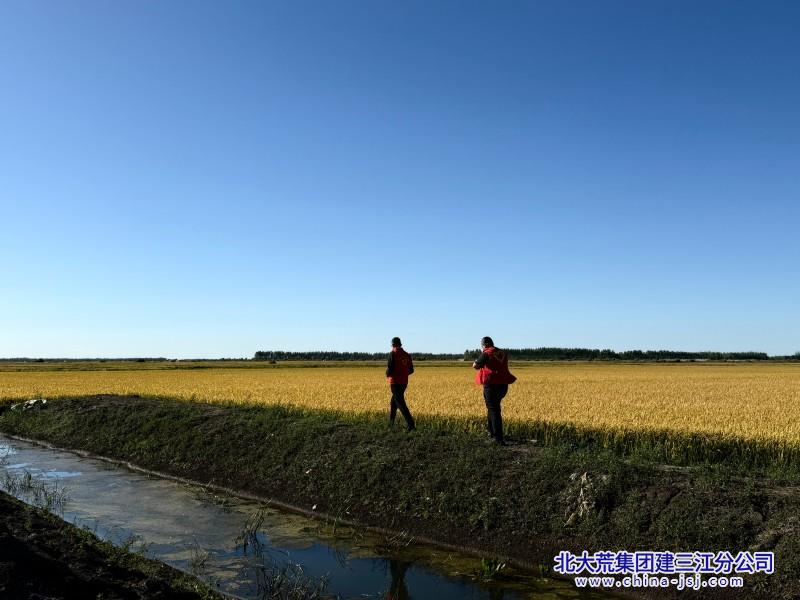 二区照片十一国庆 秋收党员志愿服务 (30).jpg