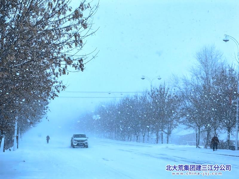 雪色浪漫.jpg