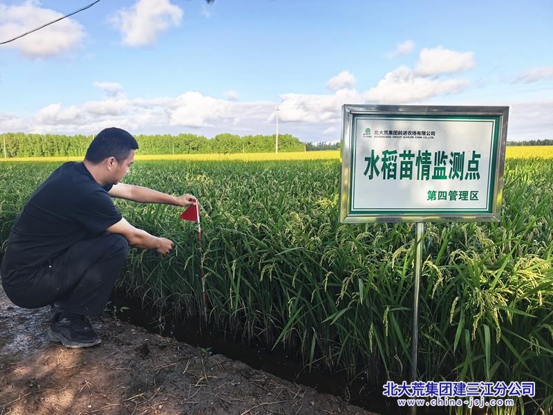技术人员深入田间开展苗情动态监测工作 摄影 王晓娜_副本.jpg