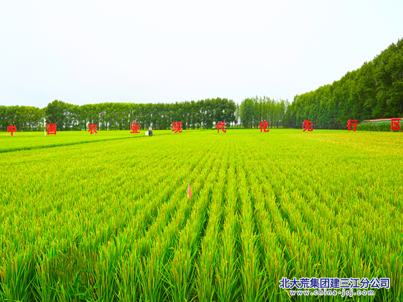 337a4f87aac0de977c373c4c35791a7e_副本.png