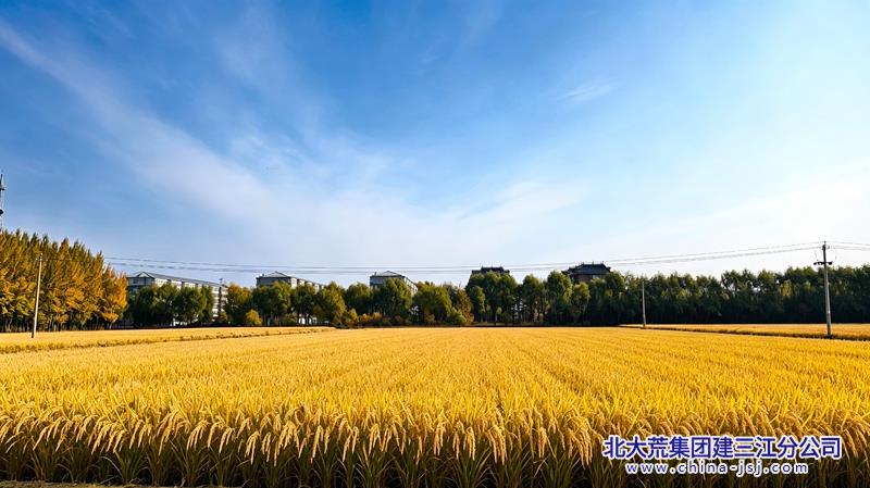 35c79a33e1520e8e8bfda6dbb50a6e08_副本.jpg