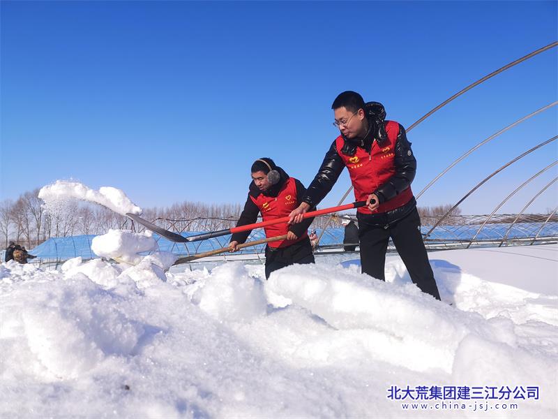 北大荒建三江信息港,建三江,建三江信息港,中国绿色米都,北大荒农垦