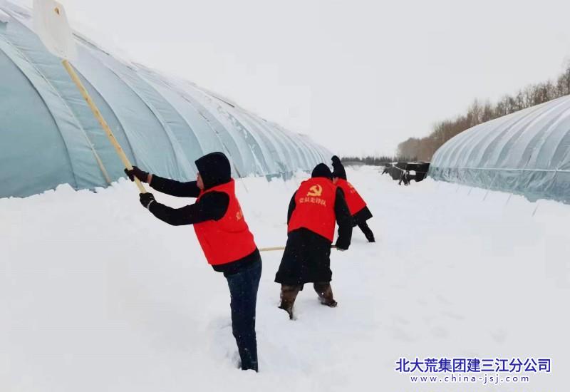 大棚区清雪.jpg