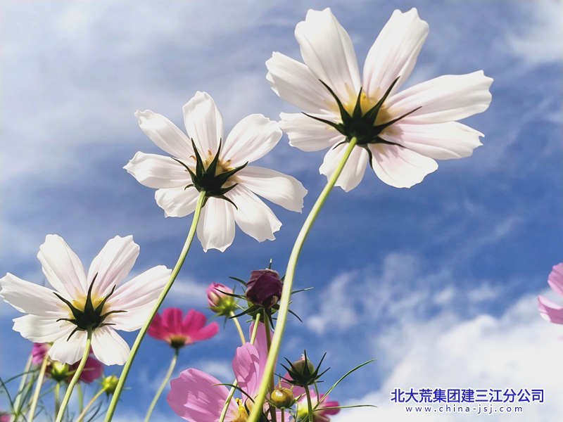 1787789942169_edit_15115051801859_副本.png