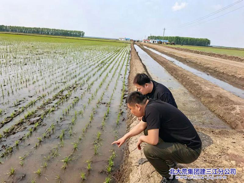 微信图片_20260521142455_332_18_副本.jpg 微信图片_20260521142455_332_18_副本.jpg