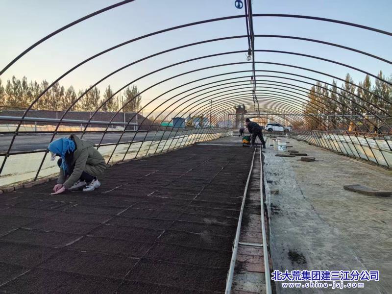 第二管理区秋摆盘现场_副本.jpg 第二管理区秋摆盘现场_副本.jpg
