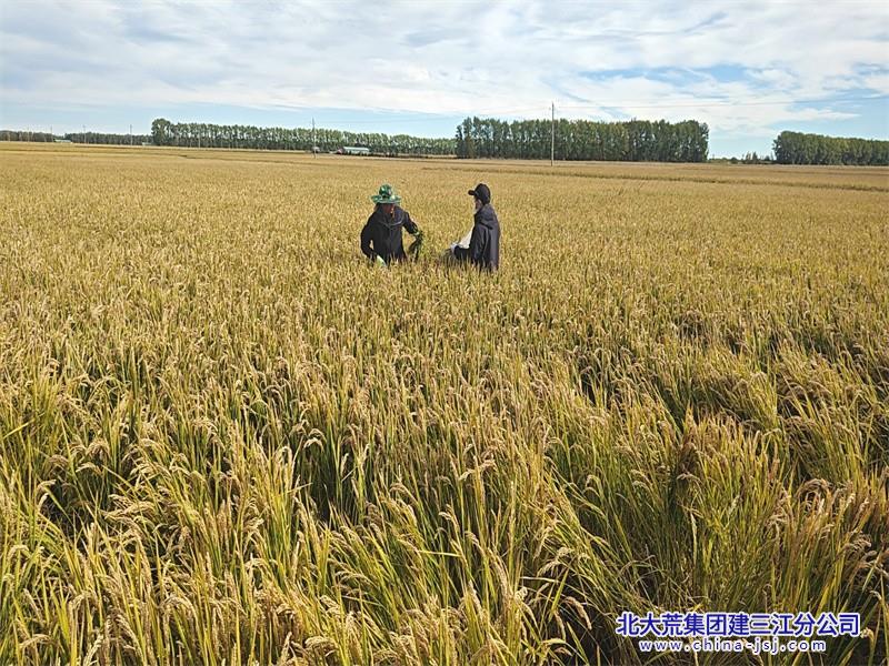 微信图片_20260923093330_8_620 - 副本.jpg