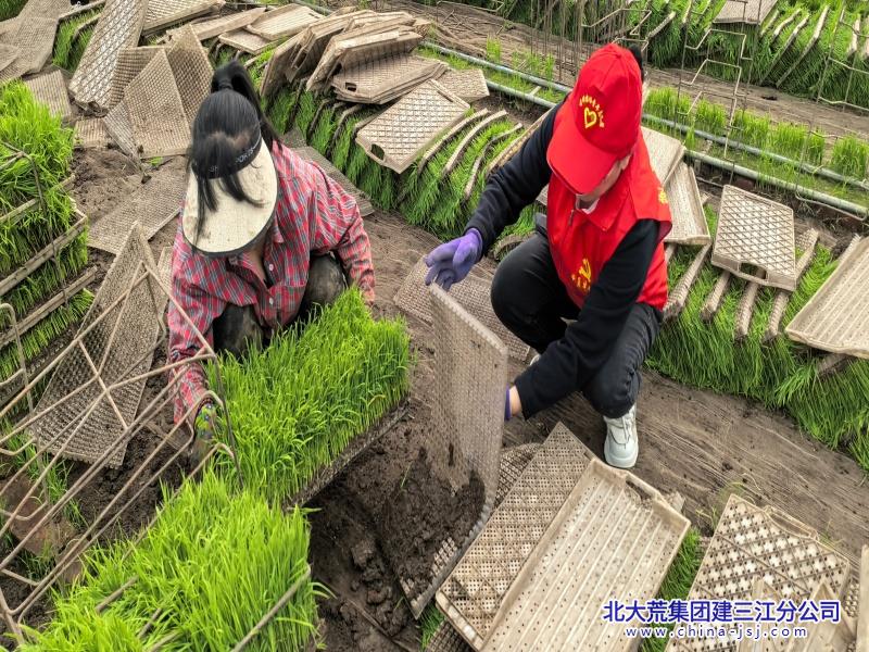 微信图片_20260512060207_40_8.jpg