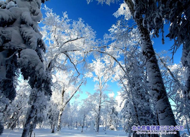 微信图片_20260115085159 800.jpg