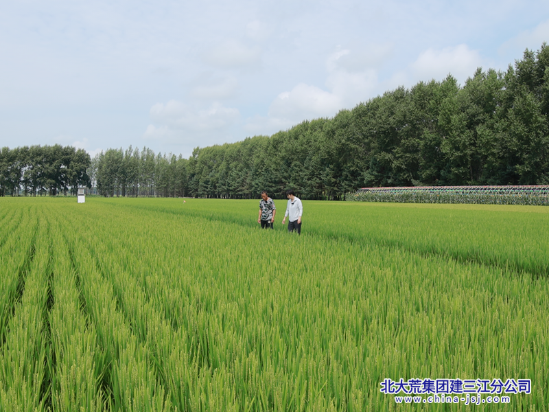 08b05ecd997e2f6afa62d6d3f6be2bb2_副本.png