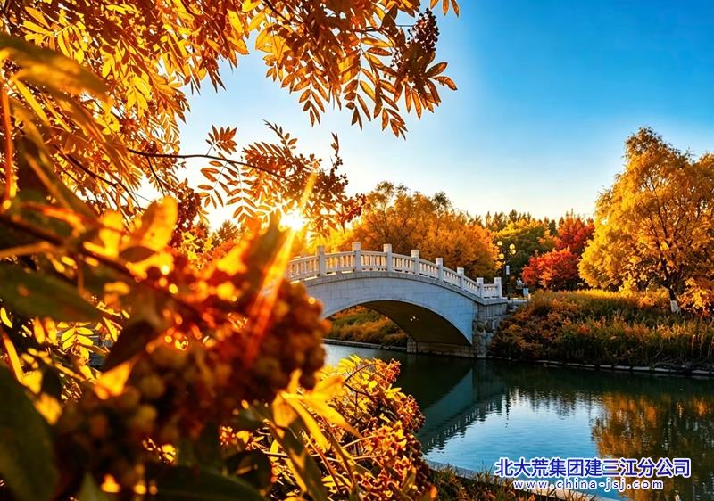 378c7a78925ed33a2ba754300a941bbb_副本.jpg