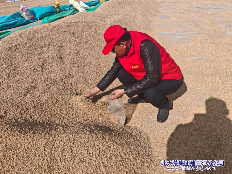 6区关玉莹测水保丰收1.jpg