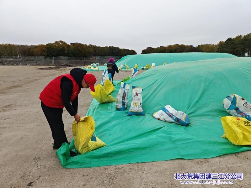 七星农场第九管理区志愿红助力秋收 共绘田间好“丰”景 (1).jpg