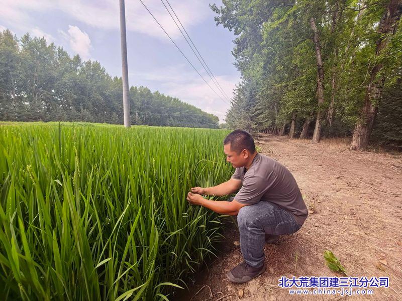 9990f7b6e9128cfebf59fd42e6184f9c_副本.jpg