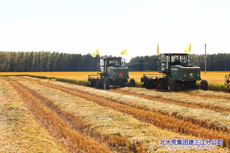 CM9A6494_副本.jpg
