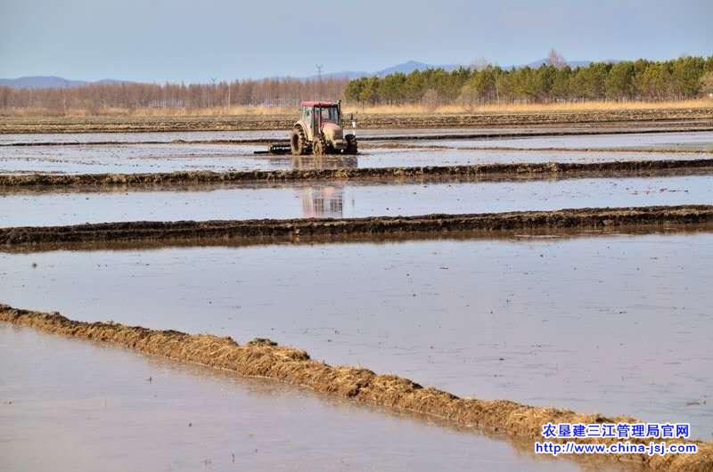 浓江农场种植户喜迎江水润农田