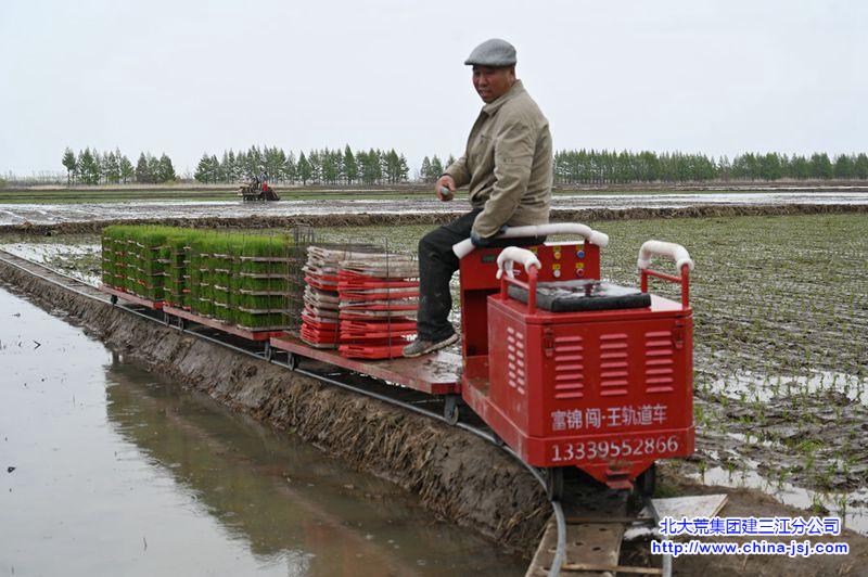 前哨农场轨道运苗车助力插秧高效进行