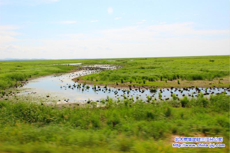 湿地河湾