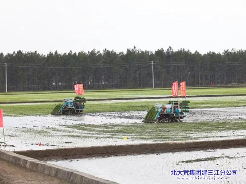 2025年插秧劳动竞赛_副本.jpg