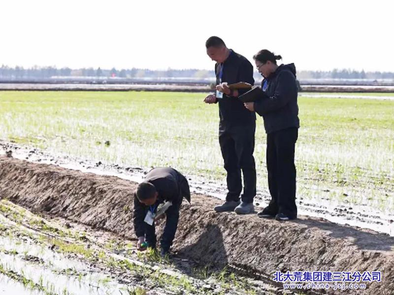 2025年插秧劳动竞赛2_副本.jpg
