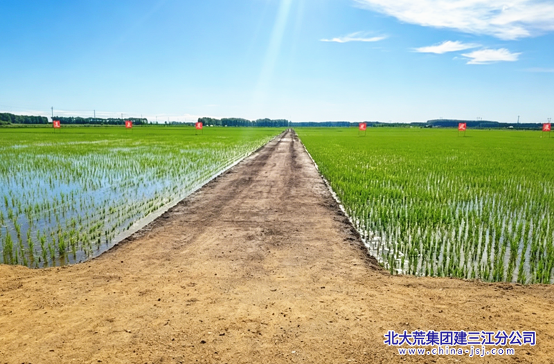 修图需求 (1)_副本.png