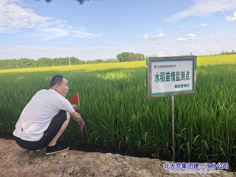IMG_20260722_151634_副本.jpg