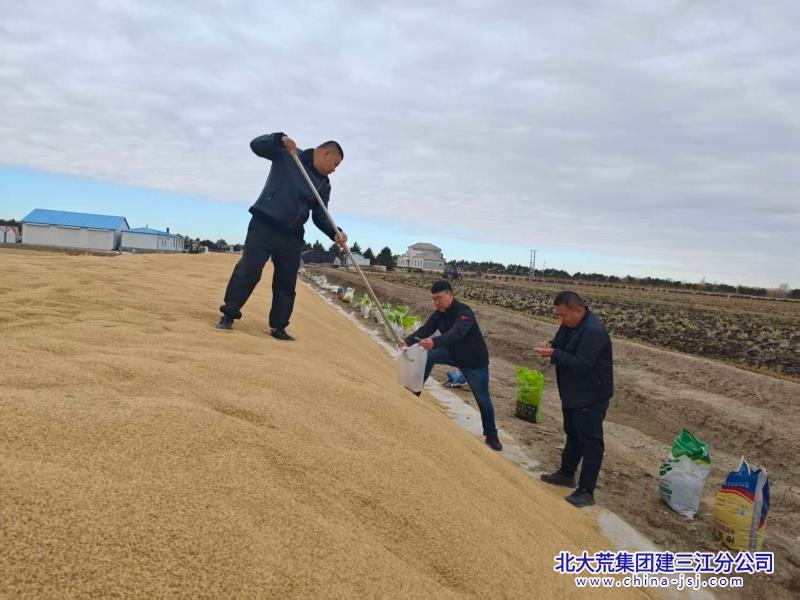 水稻取样.jpg 水稻取样.jpg